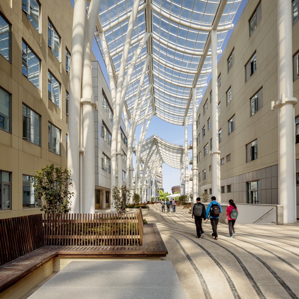 BIM建筑|上海科技大学 / Moore Ruble Yudell