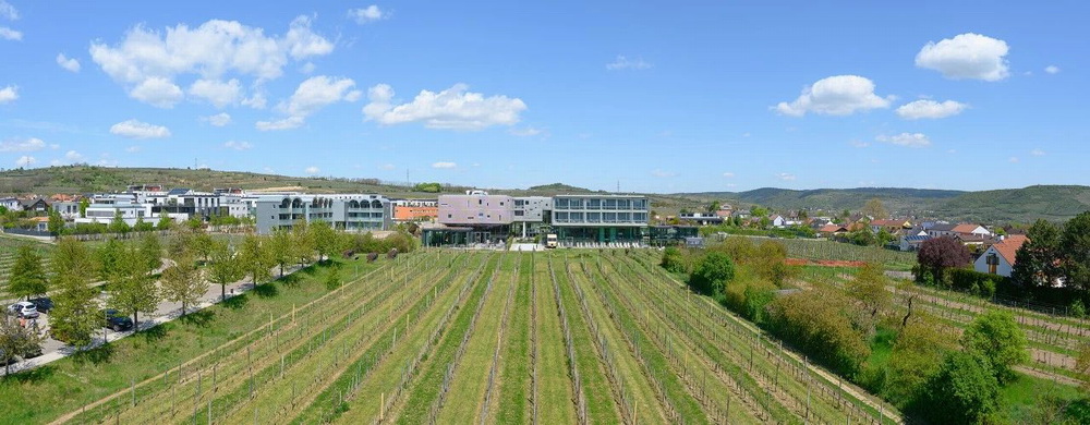 BIM建筑|奥地利罗仙姆酒店扩建/斯蒂文·霍尔事务所