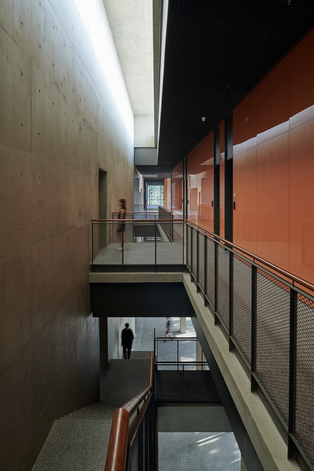 BIM建筑|南开大学海冰楼/直向建筑