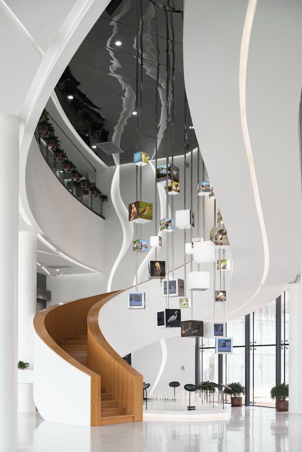 BIM建筑|漂浮于湿地之上的候鸟之巢——中国怀来湿地博物馆/天友设计