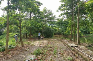 BIM建筑|湖间榭 / 半松园工作室-BIM建筑网