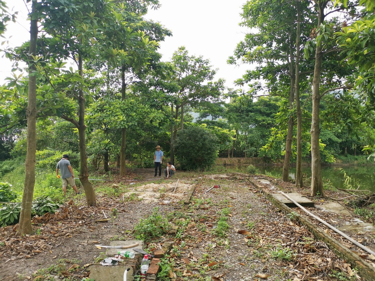 BIM建筑|湖间榭 / 半松园工作室