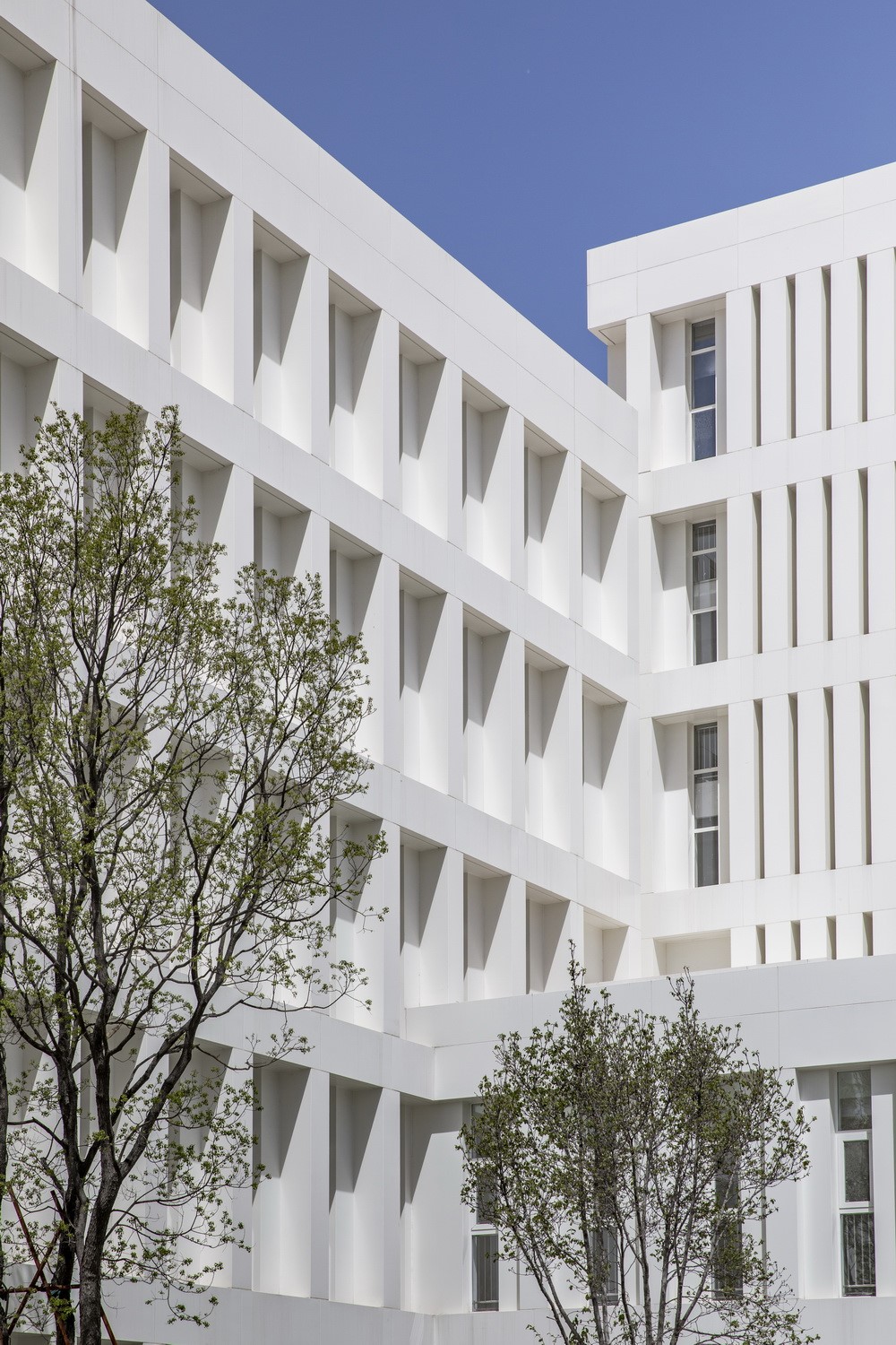 BIM建筑|沂南图书档案馆，山东 / 中央美术学院建筑7工作室（朴棫城市建筑设计工作室）