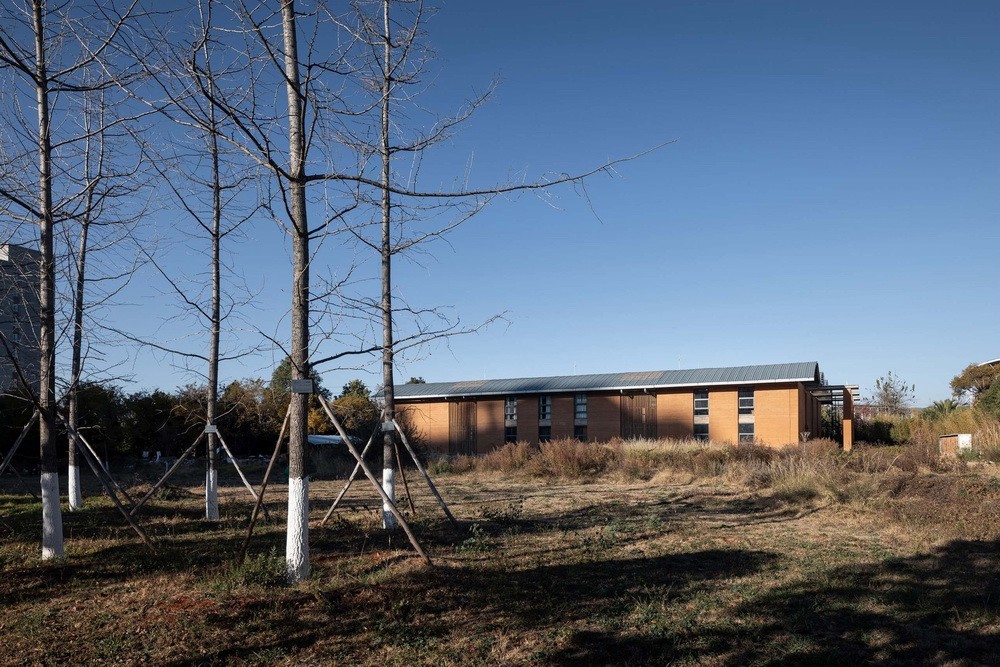 BIM建筑|生土工房（暨云南乡村振兴研究发展中心） / 一专一村