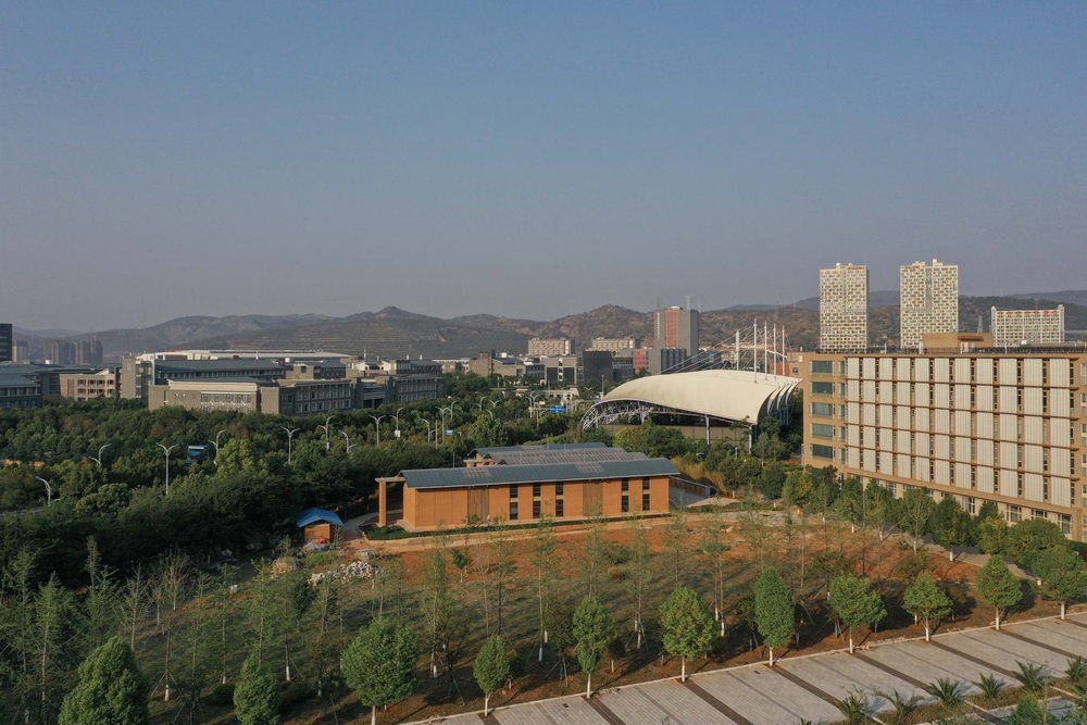 BIM建筑|生土工房（暨云南乡村振兴研究发展中心） / 一专一村