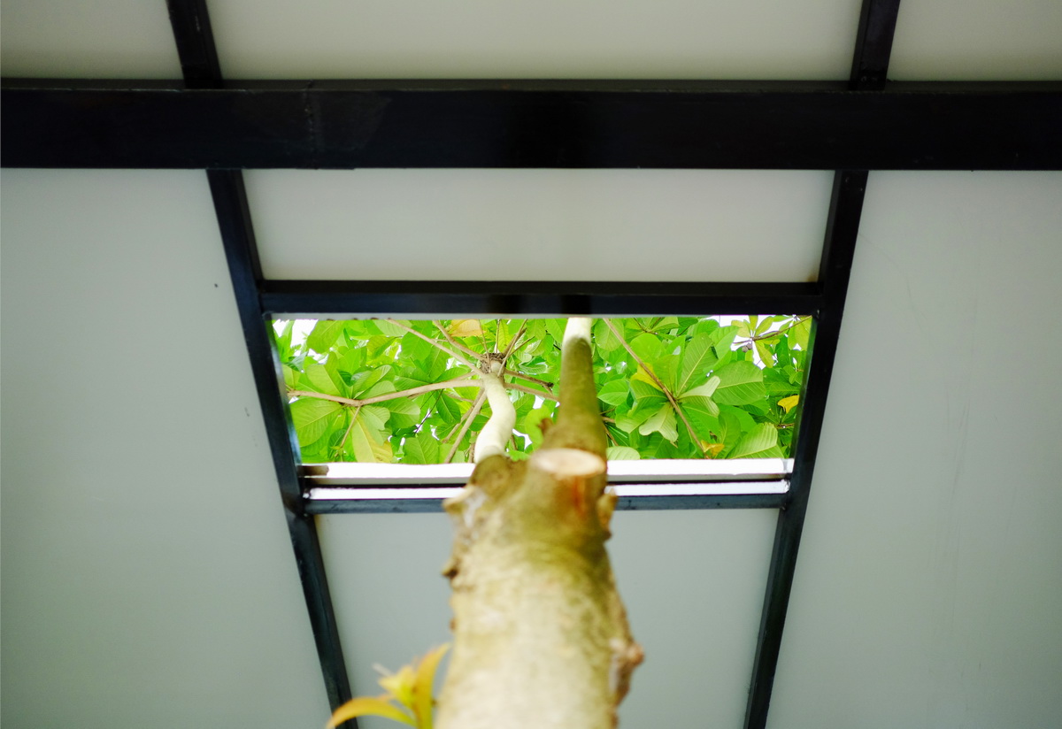 BIM建筑|湖间榭 / 半松园工作室