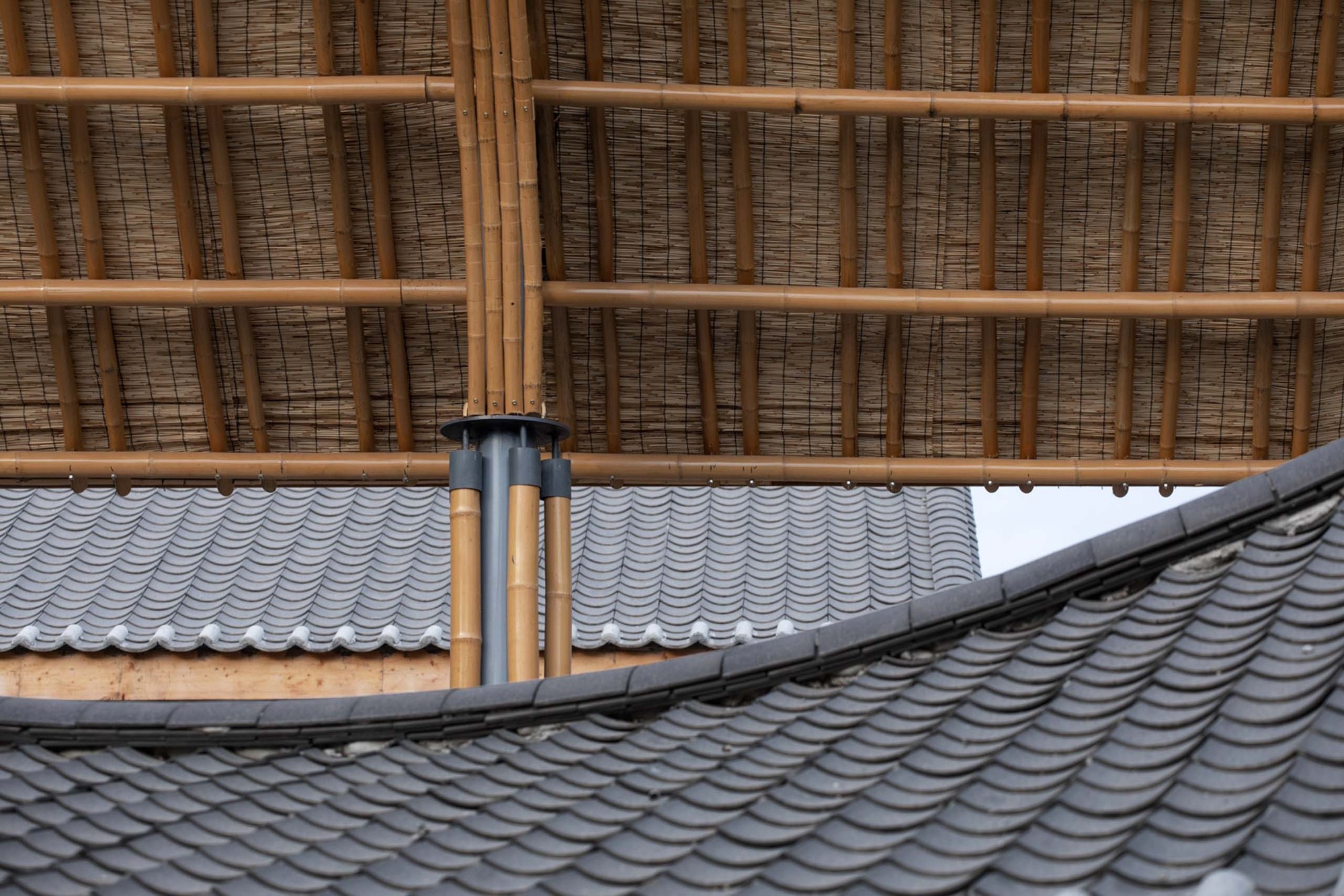 BIM建筑|成都金堂圆觉寺村村民中心 / 在行建筑