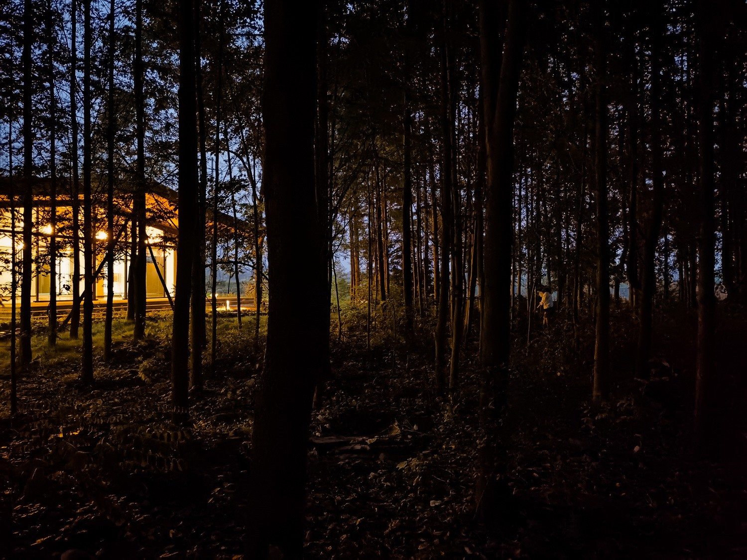 BIM建筑|最好的粮油在田间——耕田上的院子，村落中的乐园/小隐建筑事务所