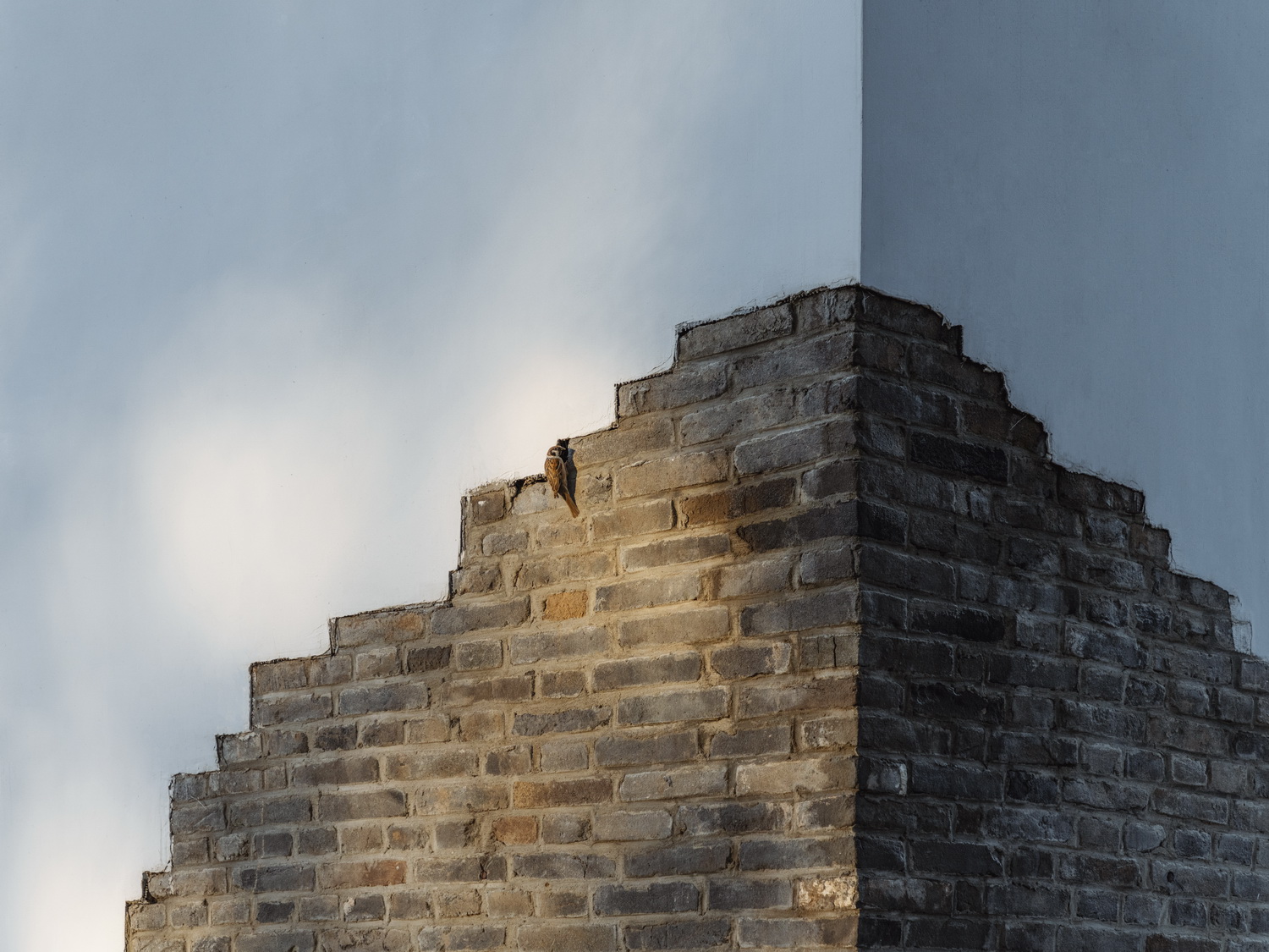 BIM建筑|陌生人：拒绝风景的房间/Wutopia Lab