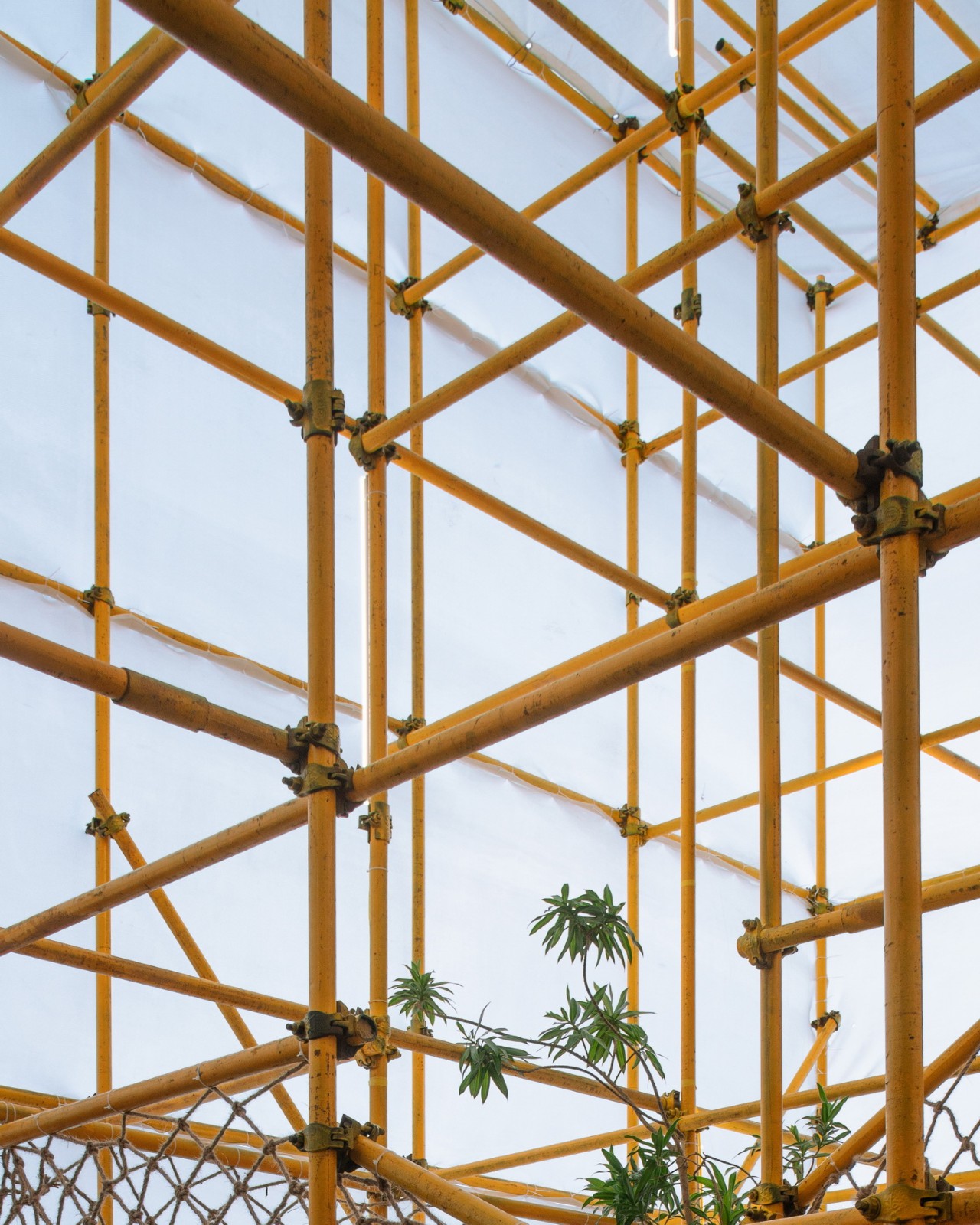 BIM建筑|晃神儿空间—阿那亚戏剧节“候鸟300”海滩临时美术馆/合木建筑工作室