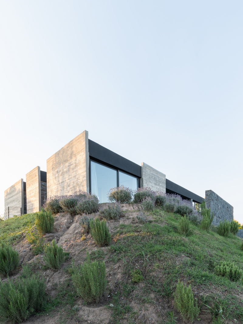 BIM建筑|Mono 住宅 / Patio Estudio