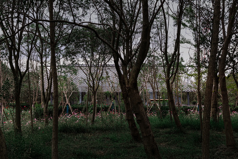 BIM建筑|水风合院——英科中心/山水秀建筑事务所 + 出品建筑事务所