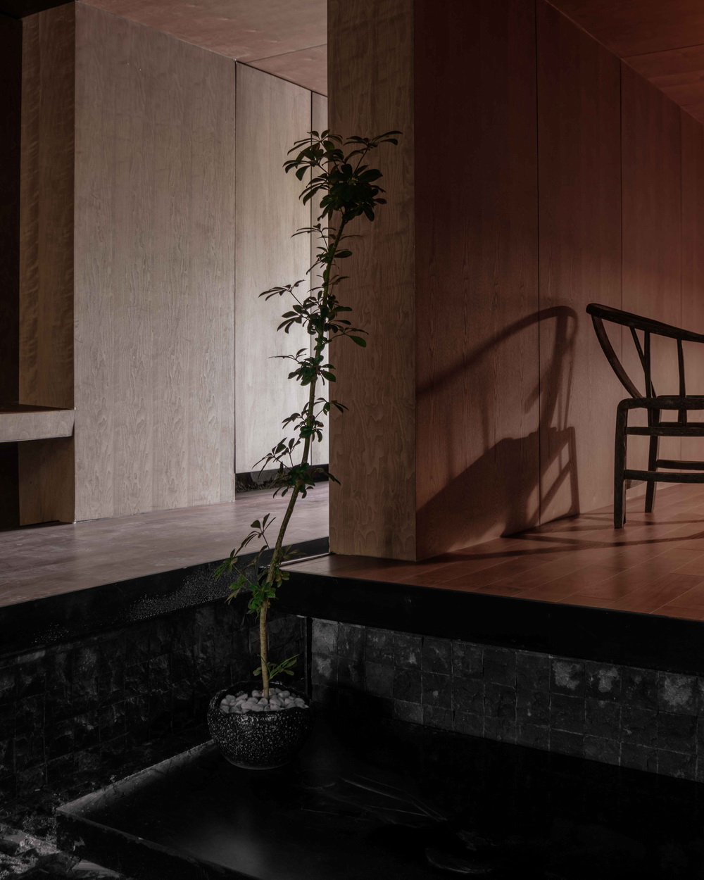 BIM建筑|婆娑里合院茶室 / 神奇建筑研究室王冲工作室