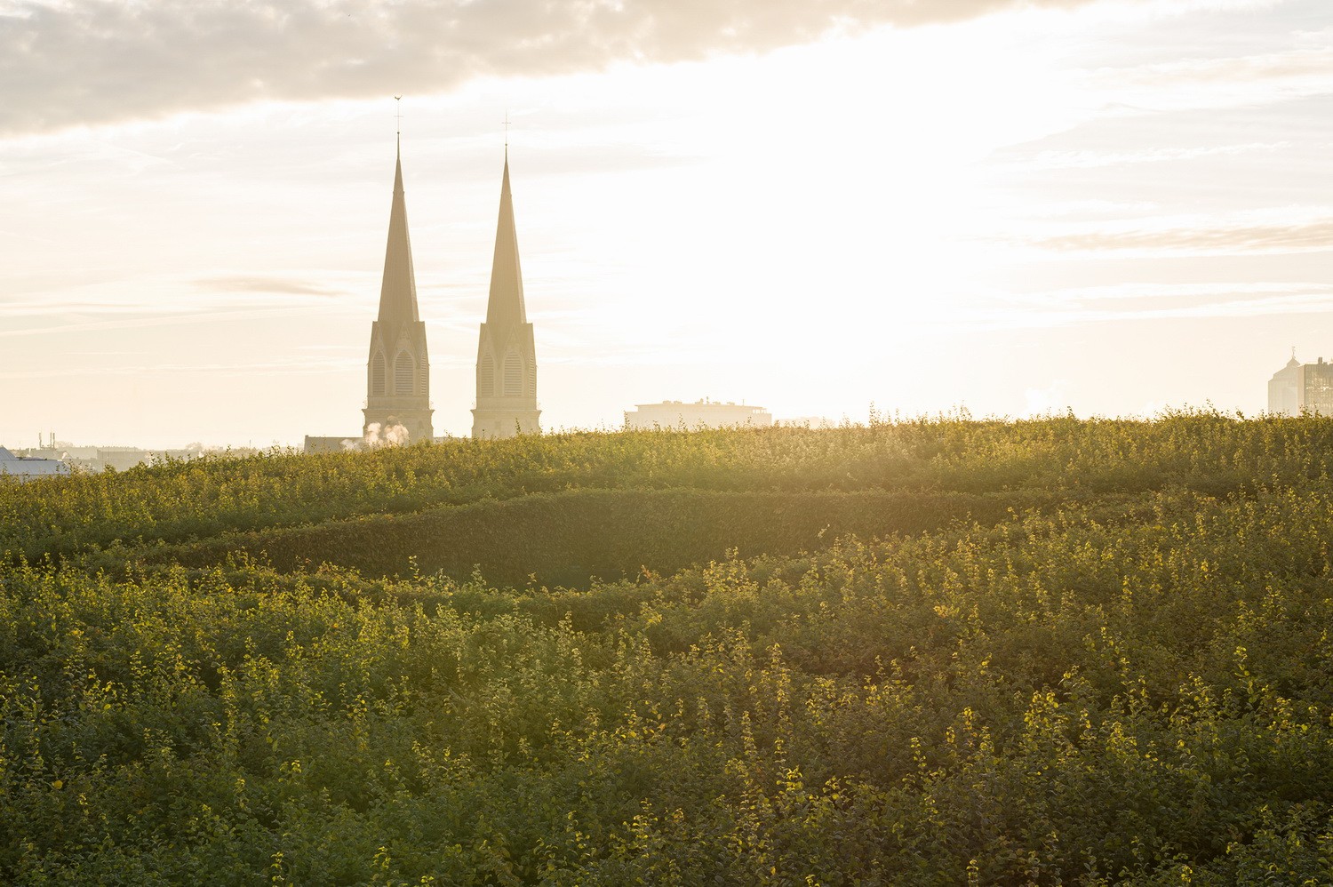 BIM建筑|欧洲最大的绿色立面建筑 Kö-BogenII 商业综合体 / ingenhoven architects