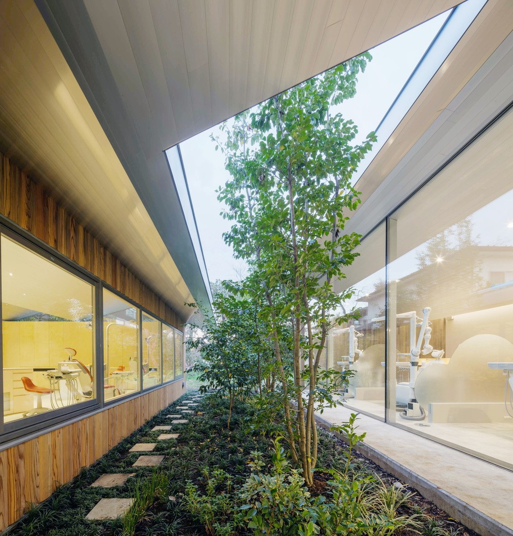 BIM建筑|林中牙医诊所 / Takashige Yamashita Office