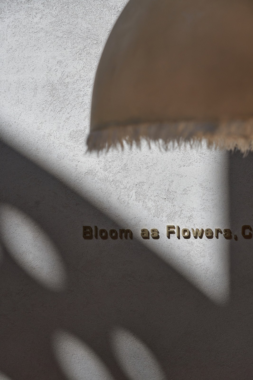 BIM建筑|花厨御用设计师 “她”和他的第九次恋爱/梁筑设计事务所