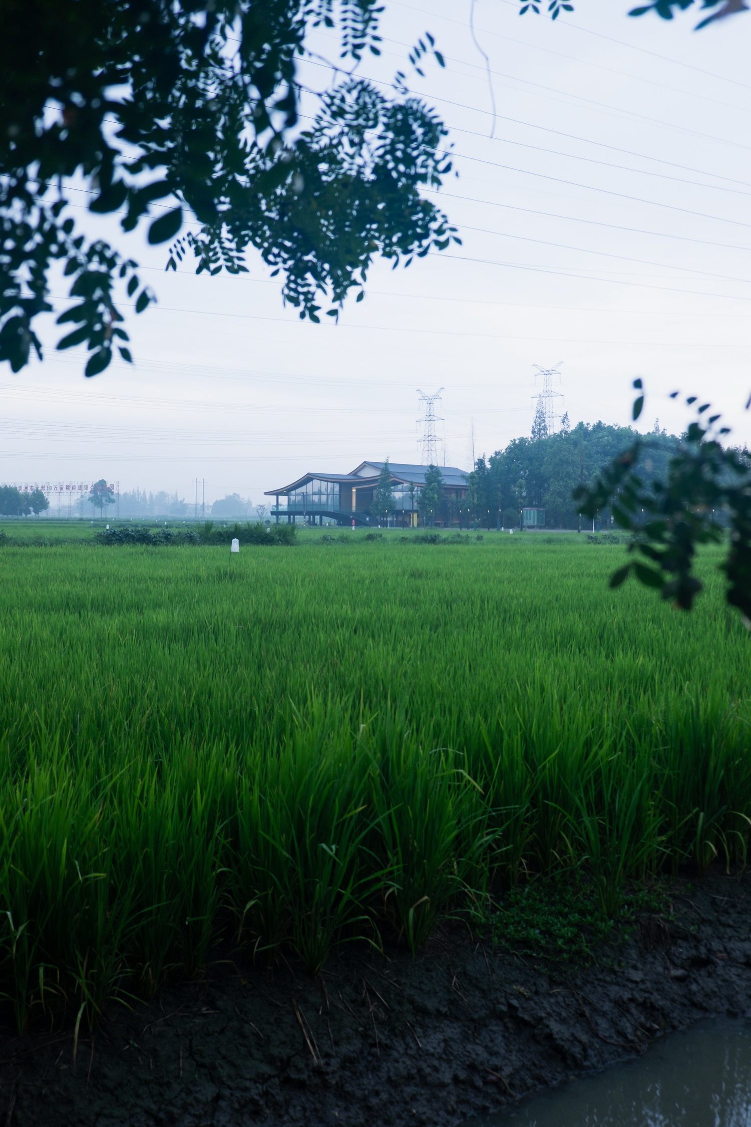 BIM建筑|最好的粮油在田间——耕田上的院子，村落中的乐园/小隐建筑事务所