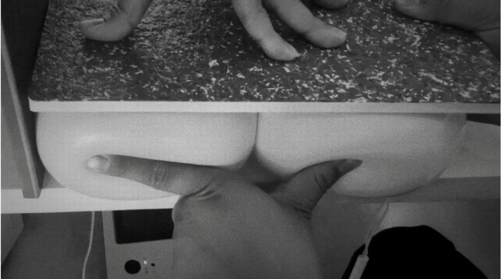 BIM建筑|南充·未来者国际幼儿园 /DIKA在建项目