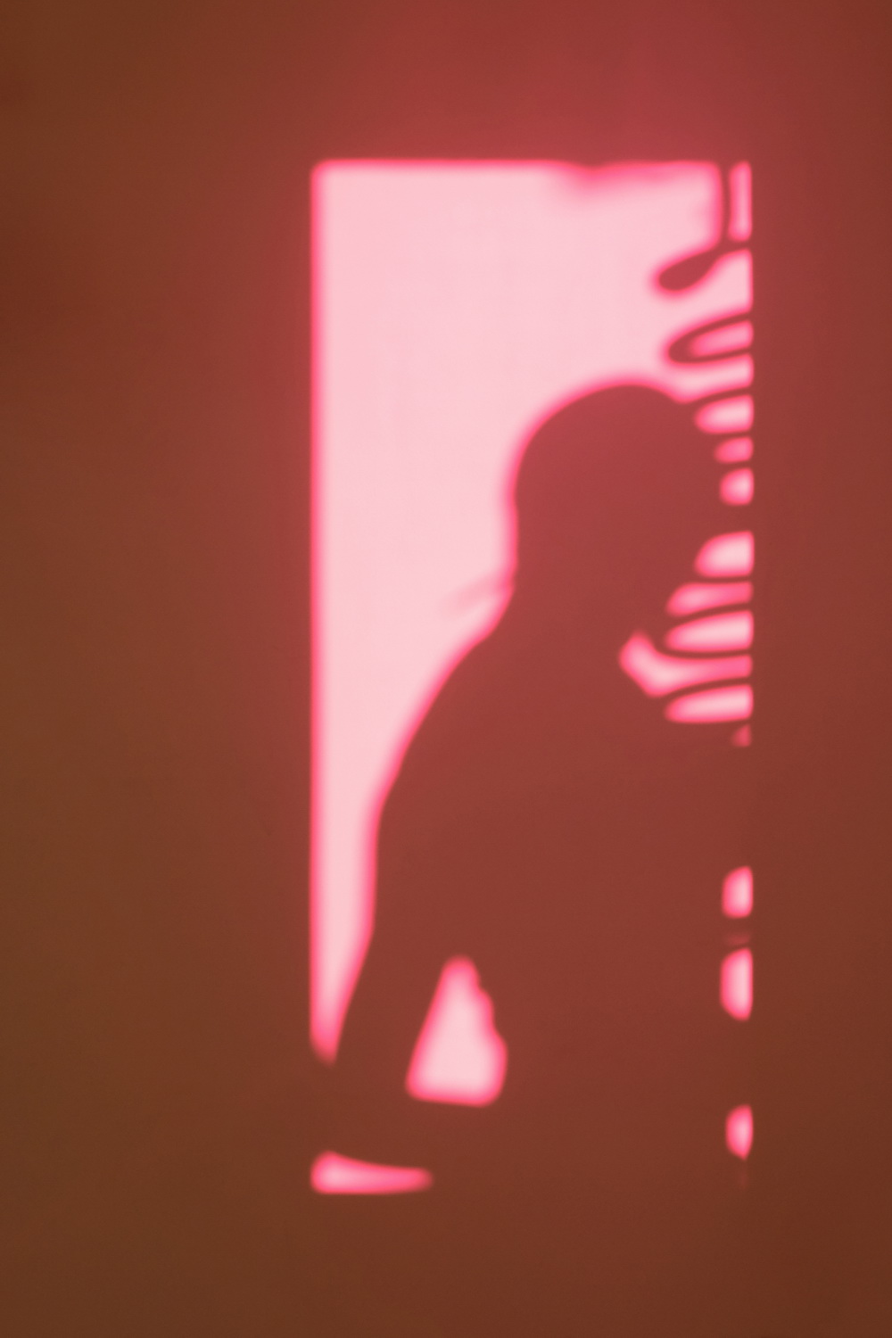 BIM建筑|Moments摄影基地/三橙立禾空间设计