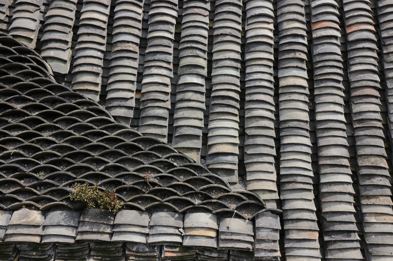 BIM建筑|山涧房 / 来建筑设计工作室