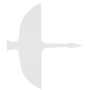 BIM建筑|南充·未来者国际幼儿园 /DIKA在建项目