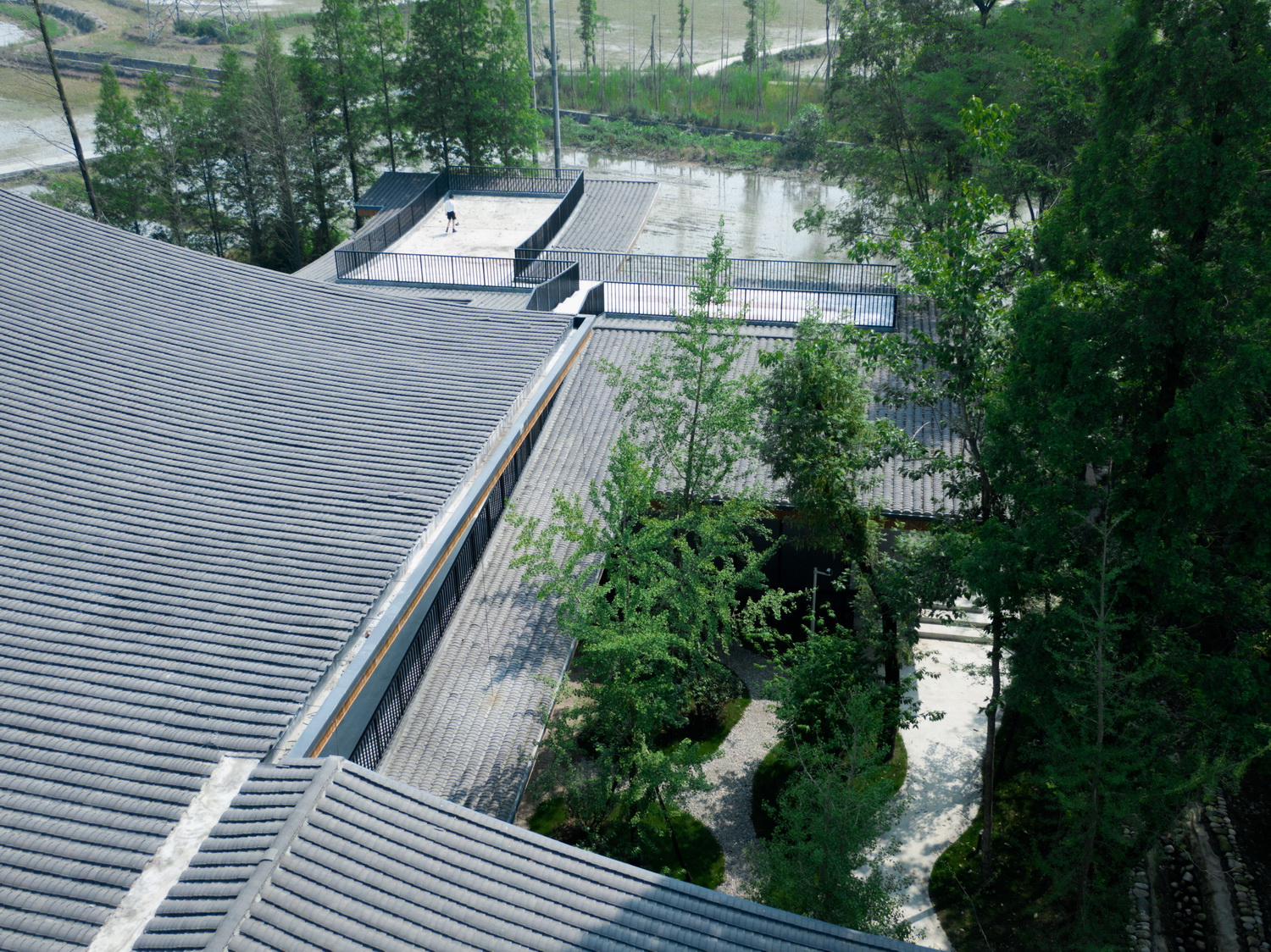 BIM建筑|最好的粮油在田间——耕田上的院子，村落中的乐园/小隐建筑事务所