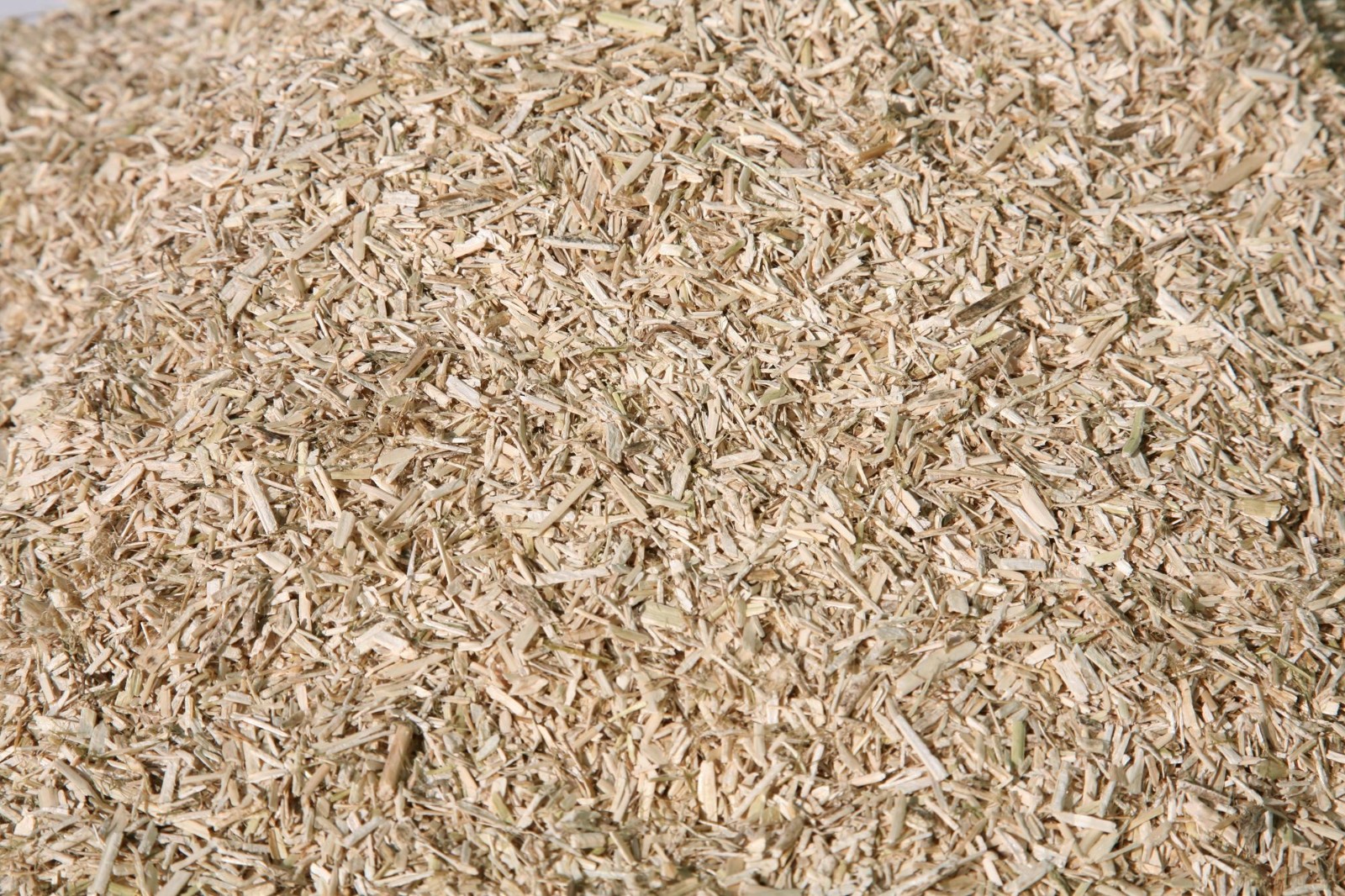 BIM建筑|法国第一座大麻混凝土砌块体育馆/Lemoal Lemoal Architectes