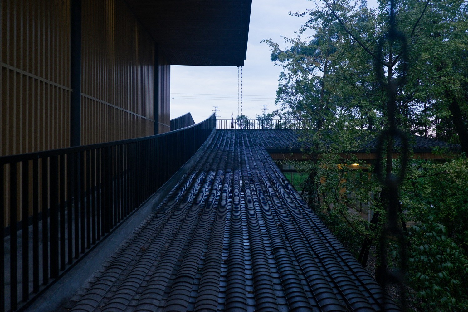 BIM建筑|最好的粮油在田间——耕田上的院子，村落中的乐园/小隐建筑事务所