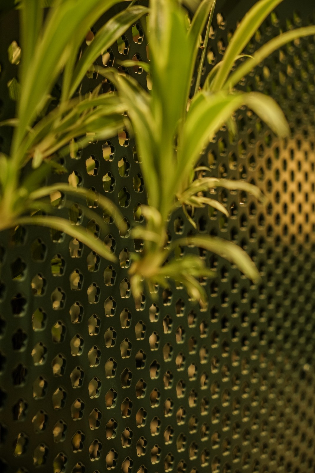 BIM建筑|仅用100万创造出静安嘉里中心Underground Park--飨识里/Wutopia Lab