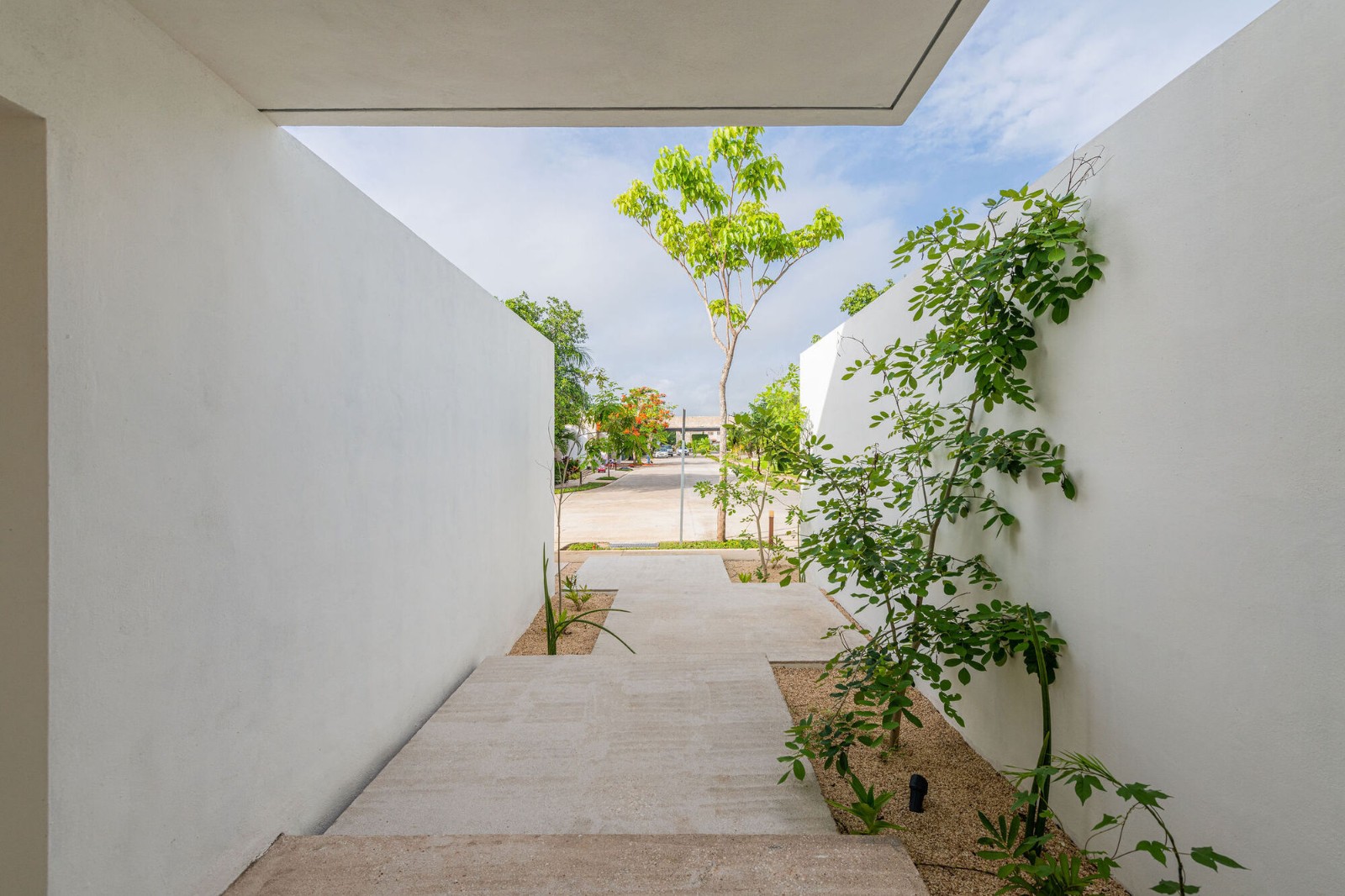 BIM建筑|那萨克之家 / TACO taller de arquitectura contextual