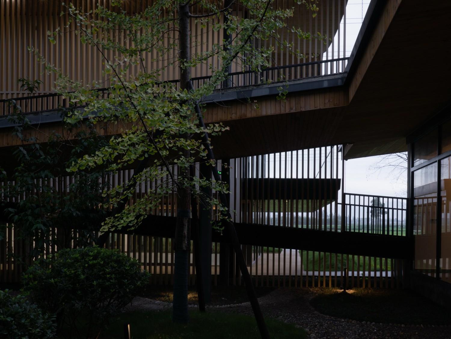 BIM建筑|最好的粮油在田间——耕田上的院子，村落中的乐园/小隐建筑事务所