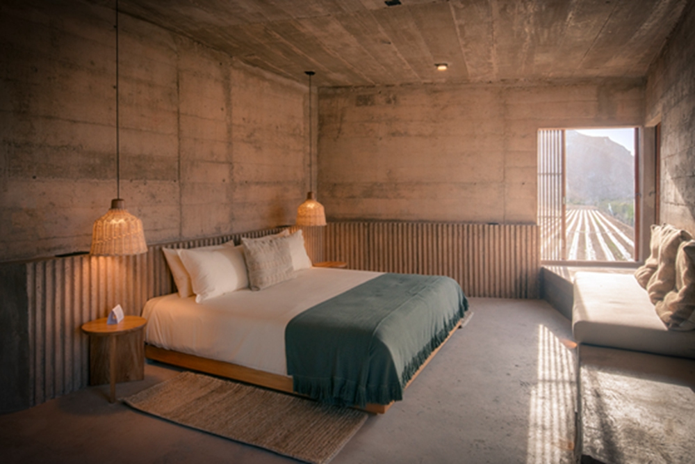 BIM建筑|耶克塔霍-瓦尔德斯设计墨西哥帕拉德罗酒店