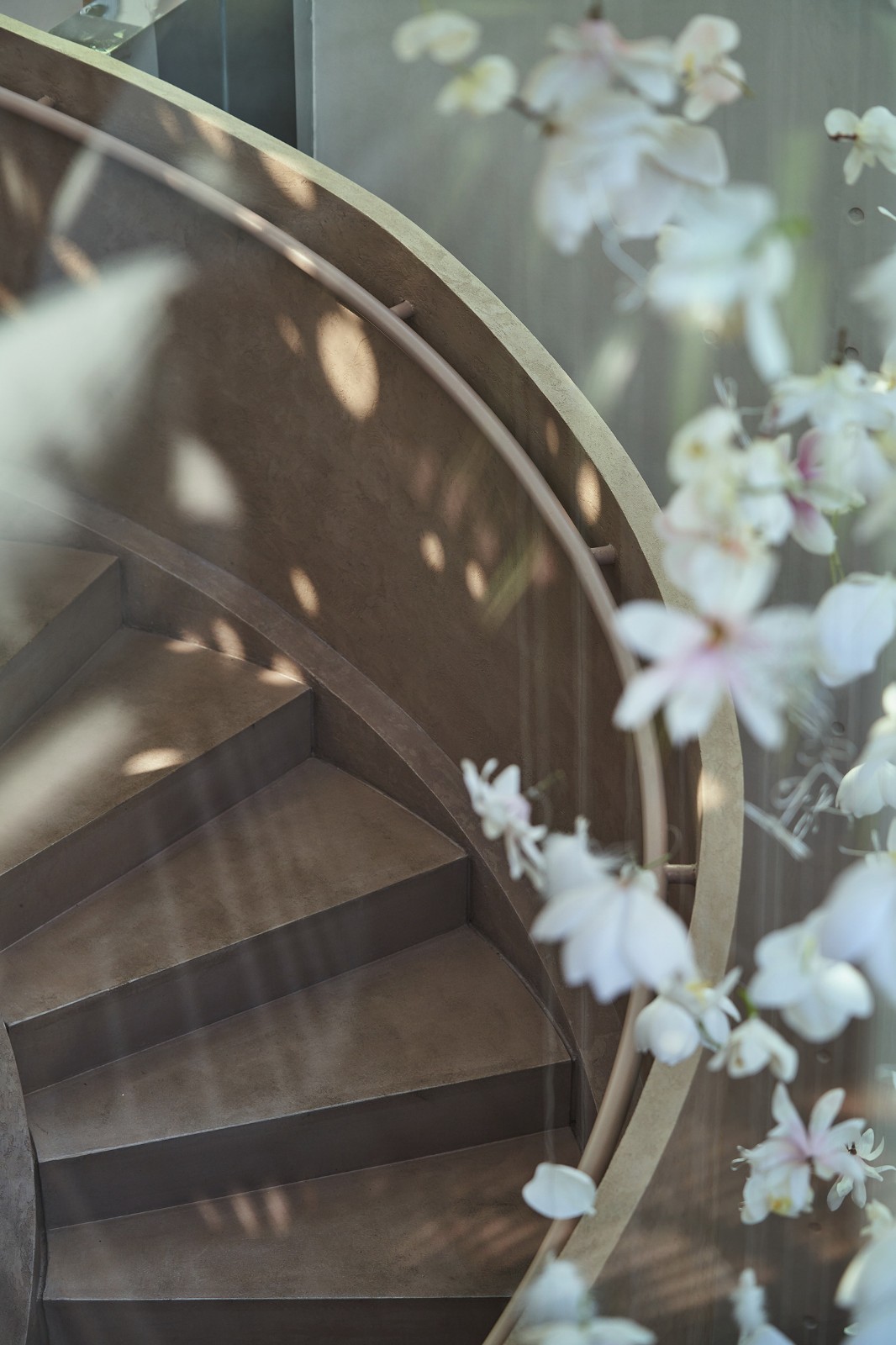 BIM建筑|花厨御用设计师 “她”和他的第九次恋爱/梁筑设计事务所