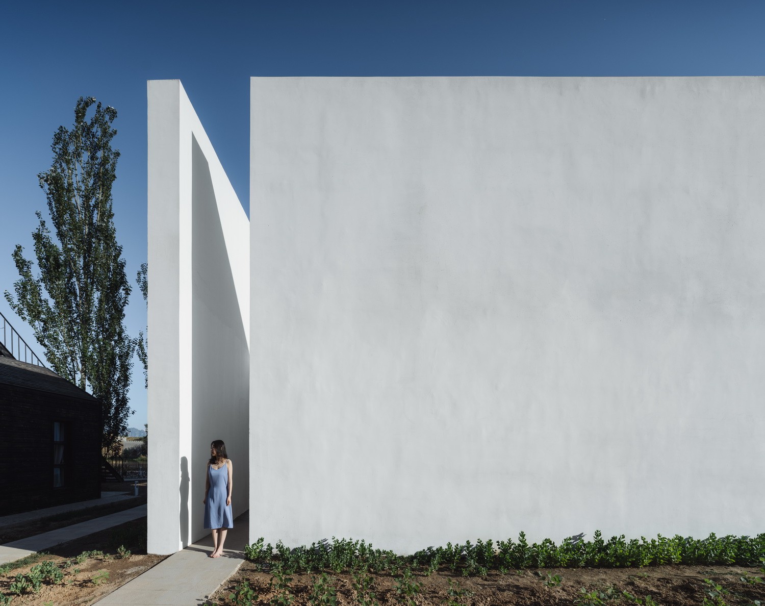 BIM建筑|陌生人：拒绝风景的房间/Wutopia Lab