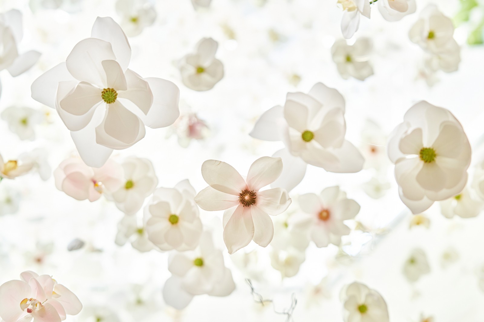 BIM建筑|花厨御用设计师 “她”和他的第九次恋爱/梁筑设计事务所