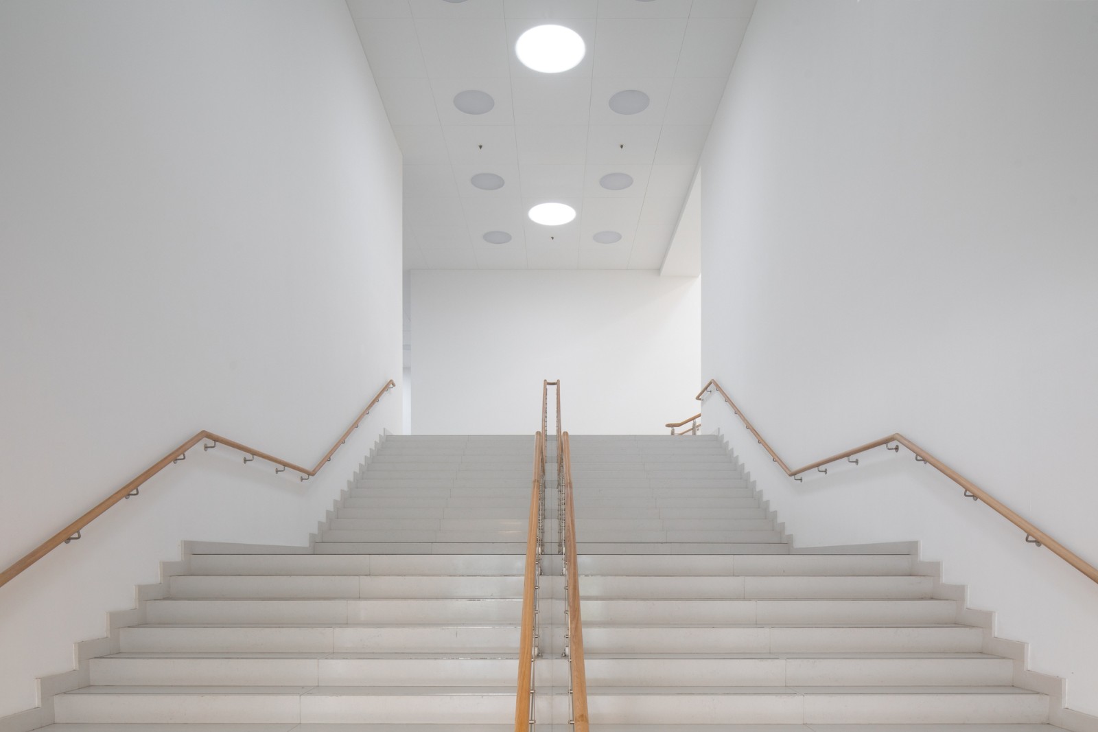 BIM建筑|鞑靼斯坦共和国国家图书馆 / XOPA