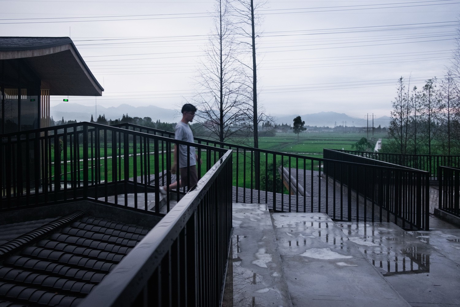 BIM建筑|最好的粮油在田间——耕田上的院子，村落中的乐园/小隐建筑事务所