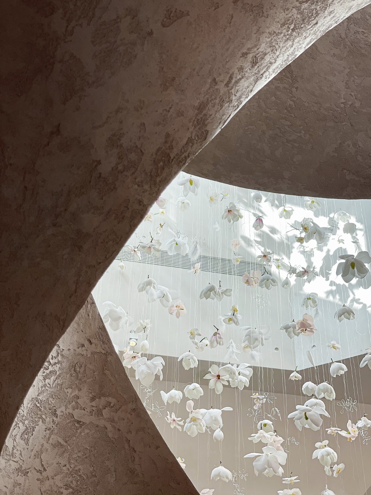 BIM建筑|花厨御用设计师 “她”和他的第九次恋爱/梁筑设计事务所