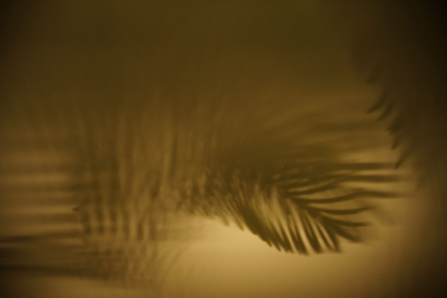 BIM建筑|仅用100万创造出静安嘉里中心Underground Park--飨识里/Wutopia Lab