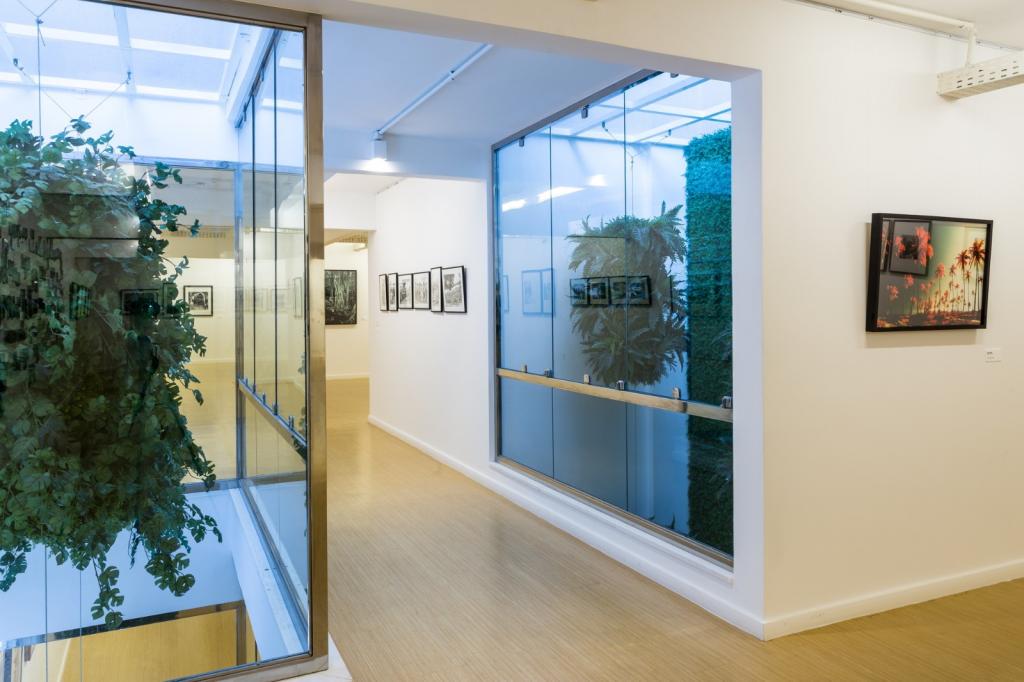 BIM建筑|福塔雷萨摄影博物馆 / Marcus Novais Arquitetura