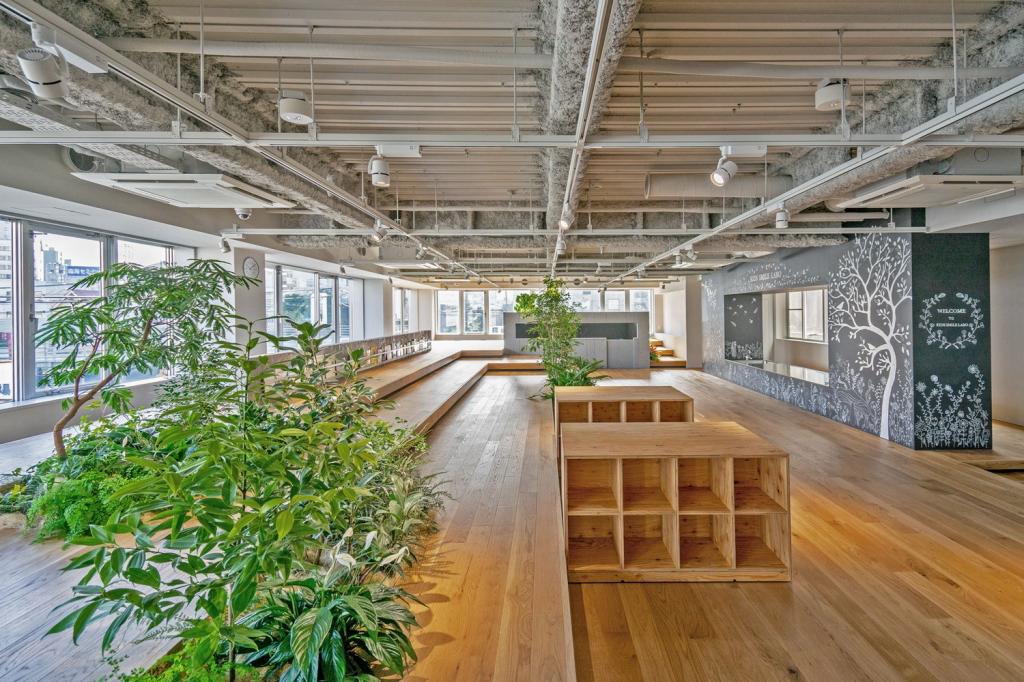 BIM建筑|KIDS SMILE LABO幼儿园-小小森林研究所 / 日比野设计