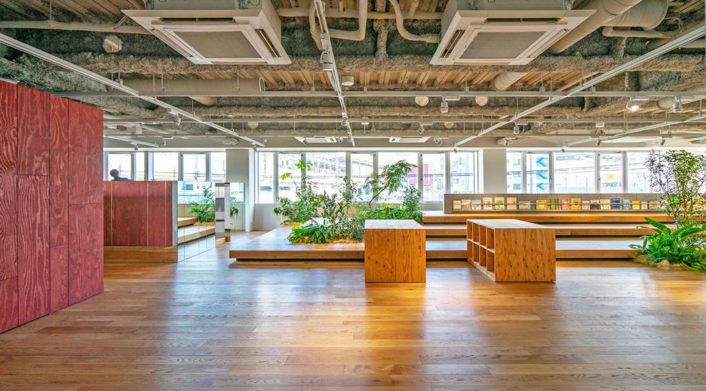 BIM建筑|KIDS SMILE LABO幼儿园-小小森林研究所 / 日比野设计