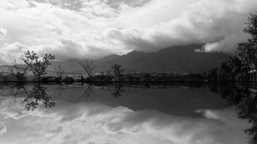 BIM建筑|杨丽萍表演艺术中心 / 朱锫建筑事务所