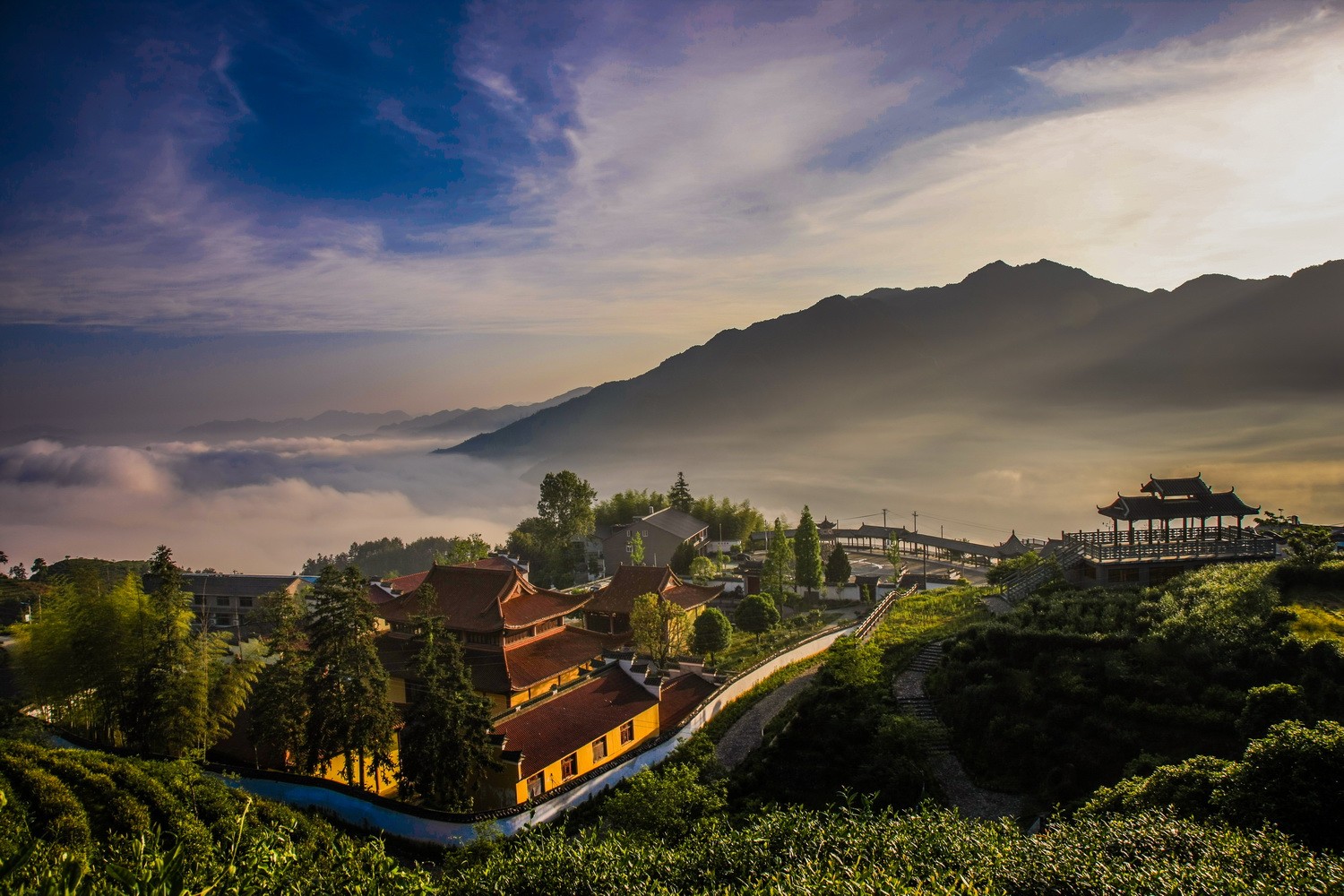 BIM建筑|景宁惠明茶工坊/ DnA_Design and Architecture