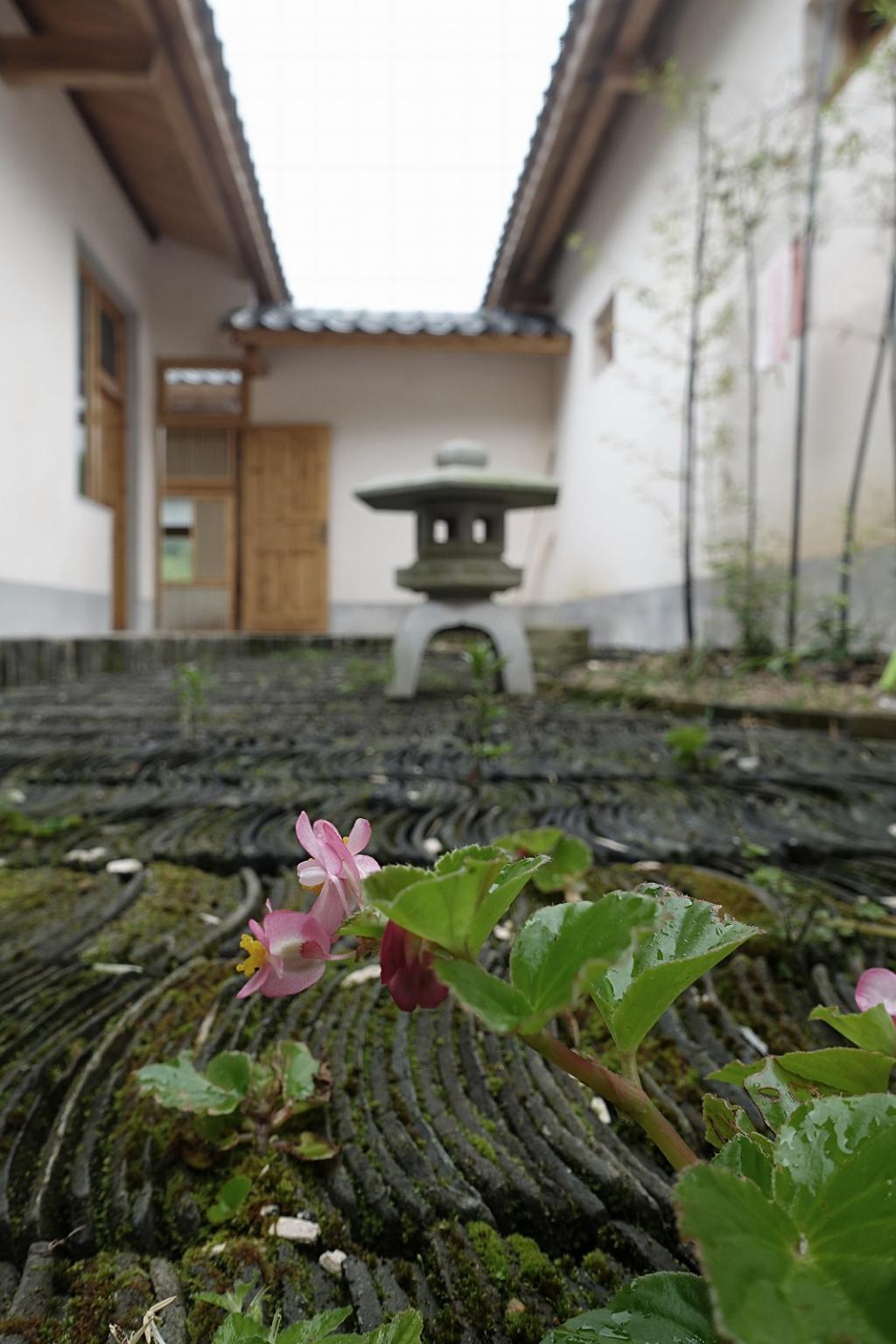 BIM建筑|山禅水定——大和禅院扩建设计 / 上海善祥建筑