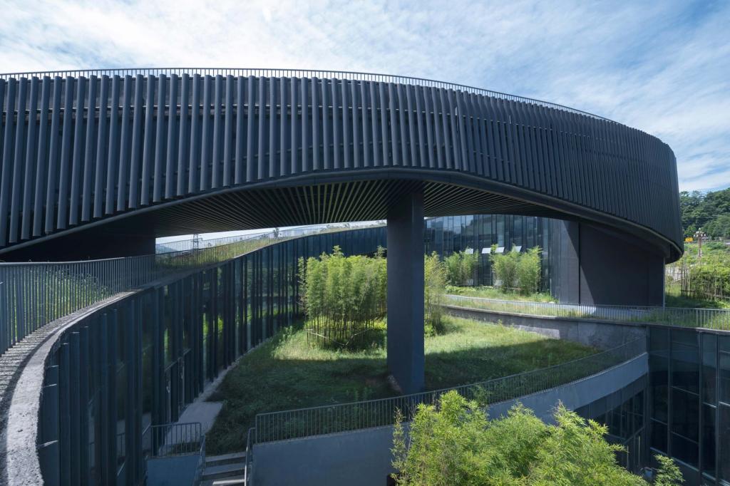 BIM建筑|大熊猫国家公园雅安科普教育中心 / 中国建筑西南设计研究院