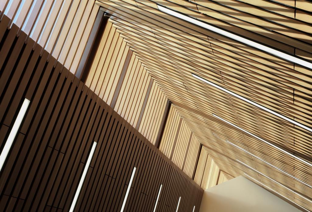 BIM建筑|卡普兰诺图书馆 / Patkau Architects + Group2