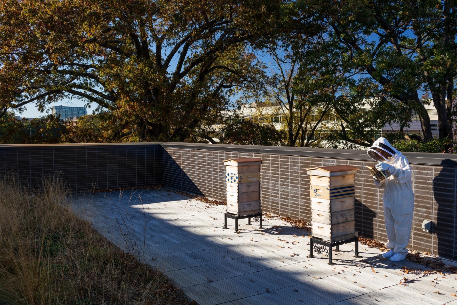 BIM建筑|Kendeda 大楼，创新可持续设计 / Miller Hull Partnership