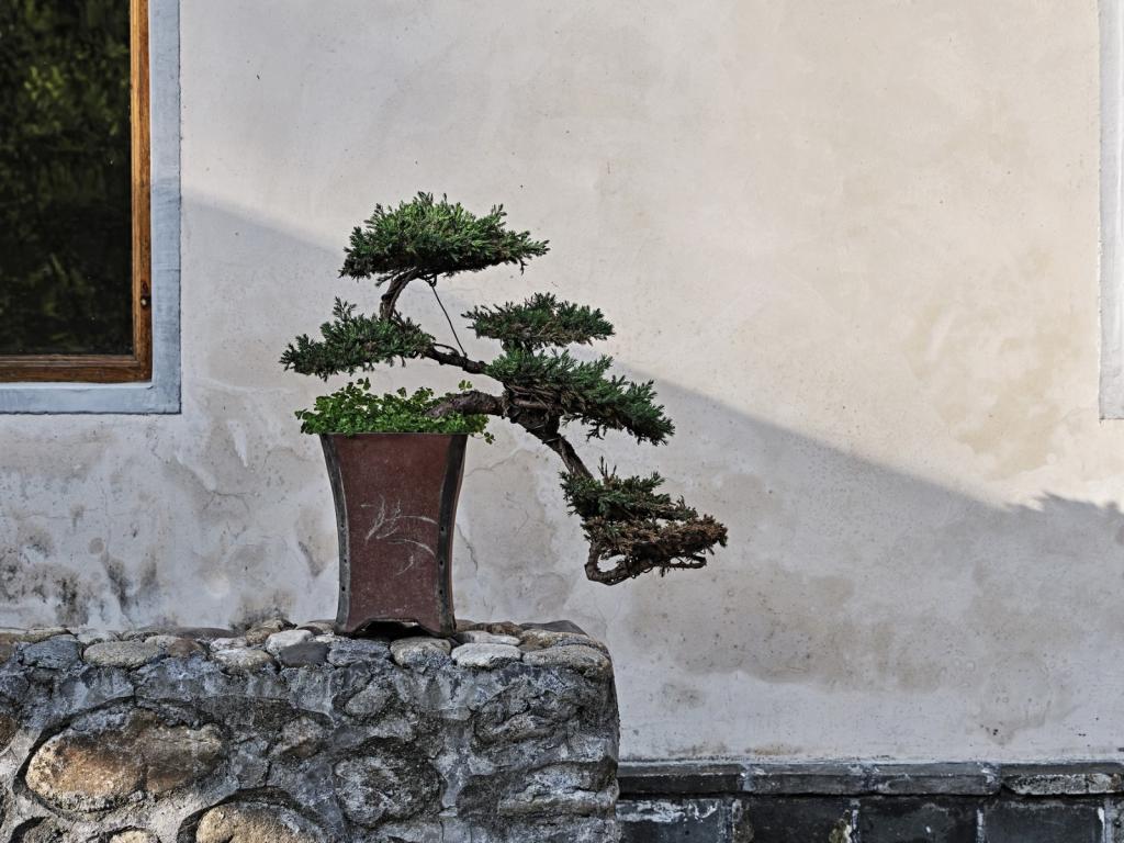 BIM建筑|山禅水定——大和禅院扩建设计 / 上海善祥建筑