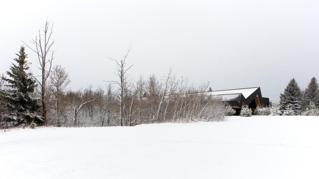 BIM建筑|卡普兰诺图书馆 / Patkau Architects + Group2